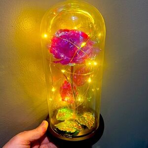 Forever Rose! Enclosed in a glass dome attached to wooden bottom! New!